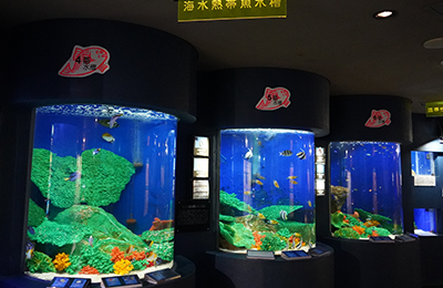 The seawater tropical zone water tank